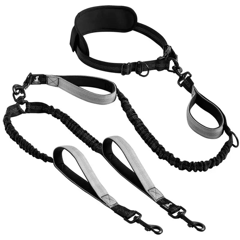 Reflective Comfort Leash Duo